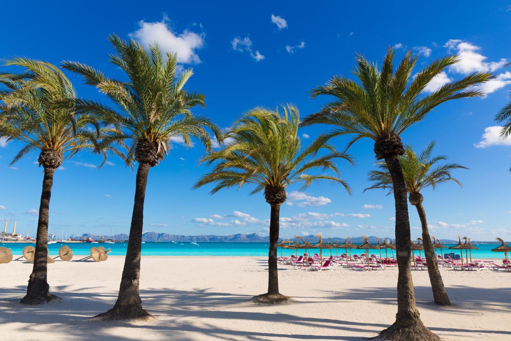 Alcudia Garden Aparthotel Port de Alcudia  ภายนอก รูปภาพ